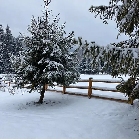 Na Zbojskej - Zbojska *