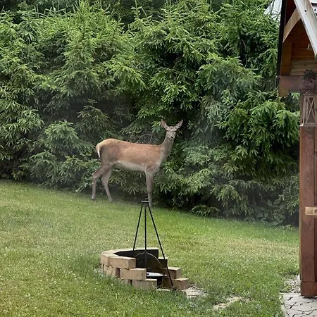 Na Zbojskej - Zbojska Pohronska Polhora